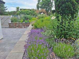 Thumbnail for photo 13