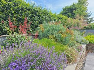 Thumbnail for photo 12