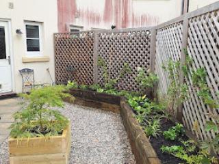 Thumbnail for photo 49