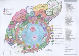 Thumbnail for photo 50