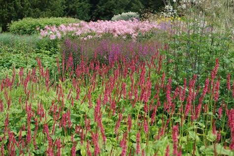 colourful borders