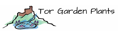 Tor Garden Plants Nursery Logo