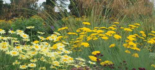 Garden landscape